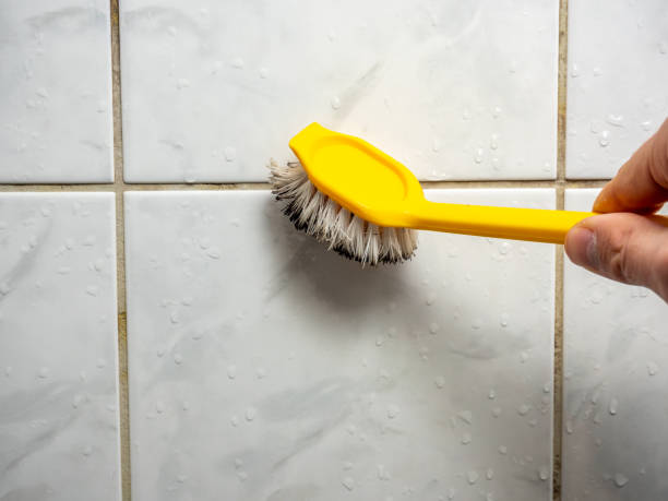 Best Office Mold Removal Services  in Duquesne, PA