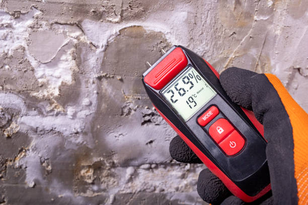 Best Crawl Space Mold Removal  in Duquesne, PA